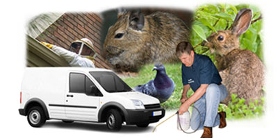 Port Glasgow local van